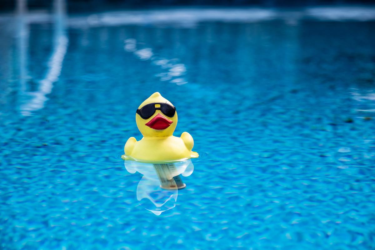 Canard en plastique dans une piscine