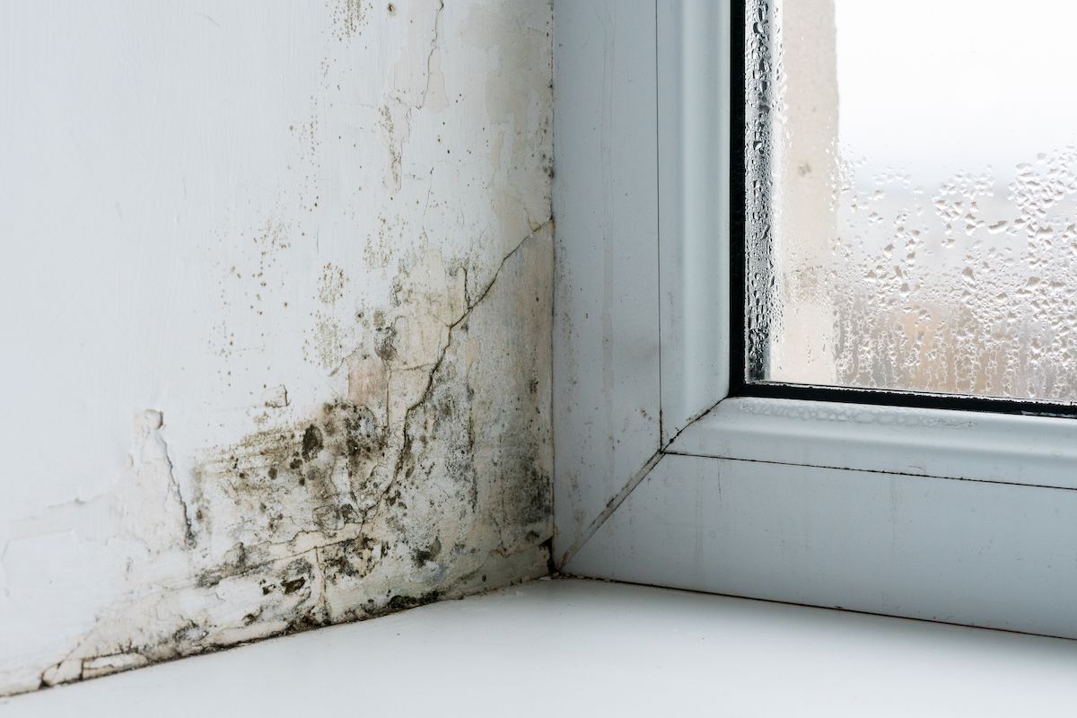 Des traces d'humidité sur le mur près d'une fenêtre