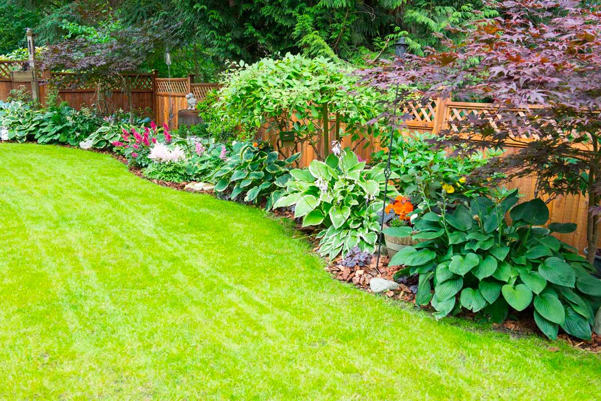 Un jardin au printemps