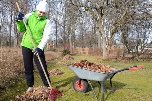 Ratissage du jardin pour enlever les feuilles mortes