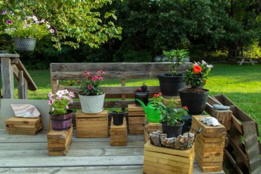 Sortir ses plantes d'intérieur dans son jardin