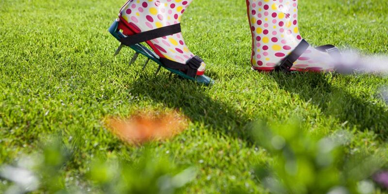 Que faire dans son jardin au mois d’avril ?
