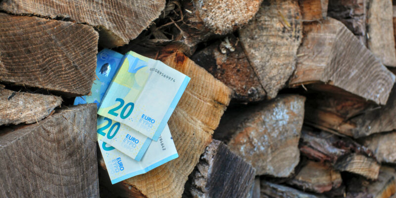 Chauffage au bois et économies d’énergies : quels avantages ?