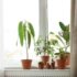 Aménagement de la terrasse du jardin : astuces pour créer un espace extérieur unique