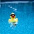 Comment aménager le tour d’une piscine ?