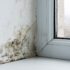 Humidité dans ma maison : quelles sont les conséquences ?