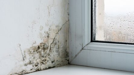 Comment enlever l’humidité dans une chambre ?