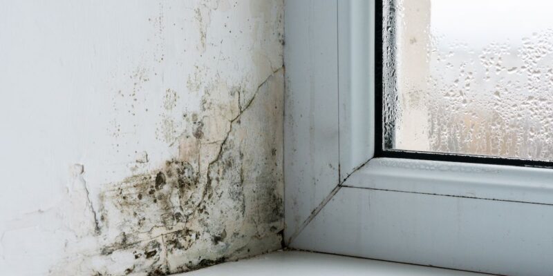 Comment enlever l’humidité dans une chambre ?