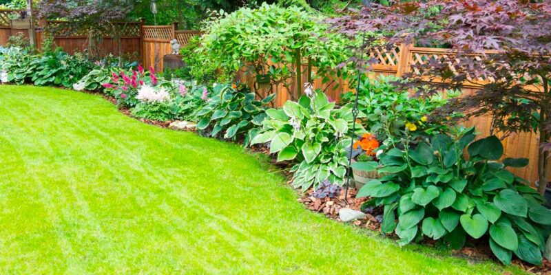 Que faire dans son jardin en mai ?