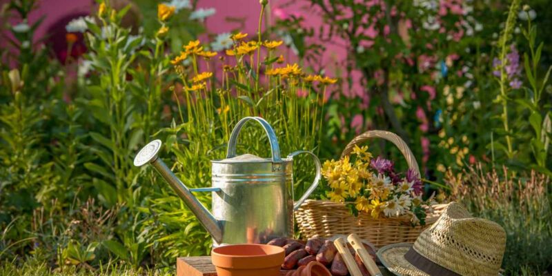 Que faire au jardin en septembre ?