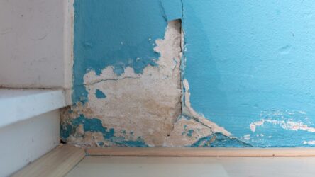 Humidité dans ma maison : quelles sont les conséquences ?