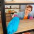Travaux d’isolation maison : par où commencer ?