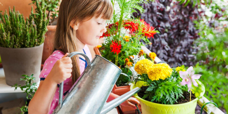 Que faire pousser sur son balcon ?