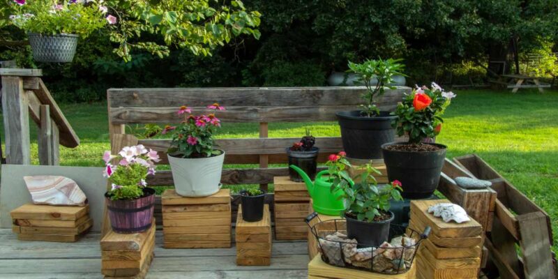 Quelles plantes d’intérieur peut-on sortir l’été ?