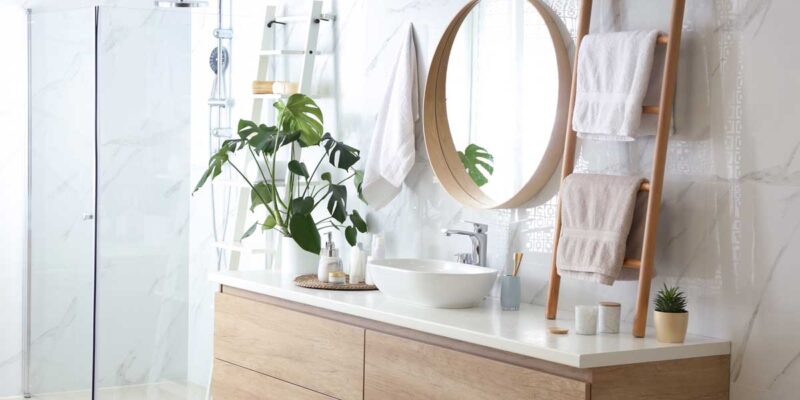 Quelles sont les plantes à choisir pour votre salle de bain ?